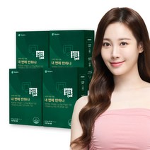 [본사] 휴온스 내 변에 반하나 차전자피 식이섬유 쾌변 다이어트 2개월분 30포 4박스, 195g, 4개