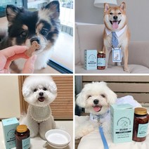강아지시력노화방지 백내장 루테인 눈 영양제 눈물영양제
