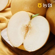 [자연맛남] 농협선별 전남 배 5kg (가정용/6-10과), 단품