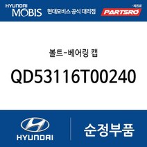 볼트-베어링 캡 (QD53116T00240) 뉴 슈퍼 에어로 시티 E카운티 E카운티 특장 E마이티WIDE E마이티