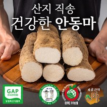 JS컴퍼니 [서안동농협] 국내산 생 우엉 2kg, 1. 우엉 알뜰(반찬용) 2kg