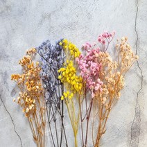 [프리저브드고사리] 프리저브드플라워 - 컬러 안개 안개꽃, 노랑