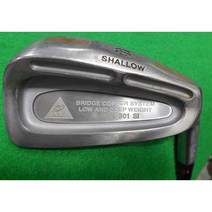 낱개판매 여성용 G-ARK 301 SI 카본 아이언, 5번