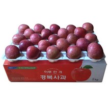사과5키로 한입사과 맛있는 경북 의성 부사 사과 한박스, 가정용 5kg (20~21과)