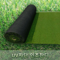 스윗키키 인조잔디 예쁜 베란다 꾸미기 천연잔디와 흡사 푸른정원 조경용 인조잔디 두께18mm (2mx5m), 2mx5m