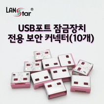 [LANstar] USB포트 잠금장치 전용 보안 커넥터(핑크/10개) [20162] LS-USBLOCK-P