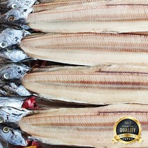 제주 반건조 갈치 (특 대 중) 국내 제주산 건갈치 업소용 도매 반건조갈치 절단 풀치 칼치, 1개, 건갈치 (대자) 80마리