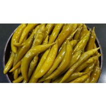 한영식품 한영 청양 고추지 4Kg