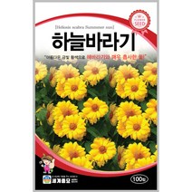 하늘바라기 100립 꽃씨 다년생 씨앗 몰 봄 여름 가을 야생화 세계종묘 농사마트