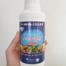 사과 복숭아 벼 콩 호박 오이 토마토 딸기 천연수용성규산 시스타 액제SiO3(500ml)