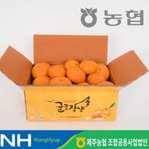 eTV 제주농협 귤로장생 제주 햇 레드향 2kg, 1
