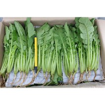 해물총각 시금치 아욱 열무 얼갈이 유채 무청시래기 간편 냉동야채, 1봉, 열무1kg