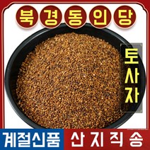 북경 동인당 야생 토사자 갯실새삼 한방차 한방재료 500g, 1봉