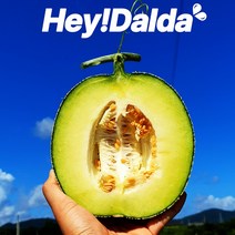 [ 고당도 kings 메론 ] 크기부터 남다른 머스크 메론 3kg 6kg 8kg 선물세트 멜론 과일 세트 고창 곡성 창원 등 산지출하, 1박스, 머스크 메론 멜론 8kg내외 (3-4수)