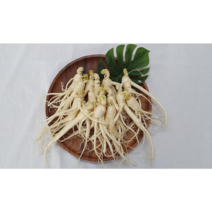 금산인삼 인삼 수삼 실속형인삼 삼계탕 홍삼오쿠용, 세척안함-750g