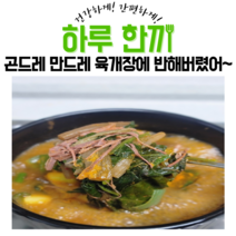 곤드레 육개장 육대장 간편식 육개장끓이는법 곤드레나물밥 수백당 국밥 육칼국수 만두 왕교자, 곤드레왕교자(700g)