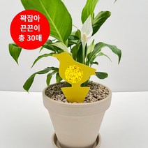 뿌리파리 끈끈이 퇴치 트랩 노란 화초 화분 초파리 날파리 끈끈이화분트랩 대용량 총30매, 2.나비나무(랜덤발송)