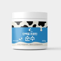 헬시푸드 단백질프로틴 순수 유청단백질 농축분말 유산균 비타민 함유 300g, 300g x 1개, 1개