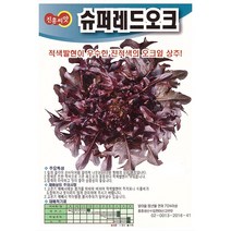 슈퍼레드오크상추씨앗 4g 진흥종묘 23년