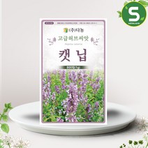 솔림텃밭몰 캣닙씨앗 800립(1g) 캣닙 개박하 캐트민트 허브씨앗, 단품