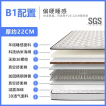 20cm 두께 야자 코코넛 독립스프링 매트리스 라텍스 쿠션 매트, 1200mmx2000mm, B