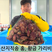 남해안 청정해역 통영 당일조업 산지직송 생물 명품 홍가리비 비단가리비, 홍 가리비 3kg (90-75미)