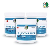 캐나다 블루콜라겐 연어콜라겐 저분자콜라겐 트리 펩타이드 수용성콜라겐 어류 피쉬 먹는 콜라겐 가루 히알루론산 로얄제리 블루베리 피부건강 이너뷰티, 3개, 100g