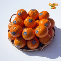 큐티스만다린 오렌지귤 미국산, 2kg (16~24과), 1개