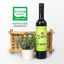 쑥 효소 발효액 유기농 이의영 산야초 효소 500ml