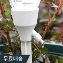 더우지 화분 자동 급수기 식물 키우기 패트병 자동급수 5개 10개 세트, 10개세트