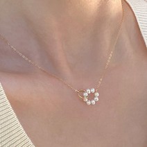 다왕 cZNG017원반 진주 앤 링 고리 14k도금 실버925 목걸이