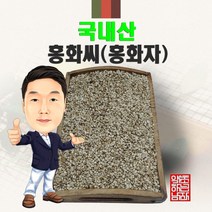 국내산 홍화씨(홍화자) 500g/300g/100g (경북 영천) 국산, 500g