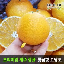 이츠올릿 고당도 제주 황금향 가정용 소과 7-15과 2kg 제주도 감귤 택배 한라봉 천혜향 레드향 밀감, 상세페이지 참조, 상세페이지 참조, 상세페이지 참조