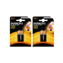듀라셀 디럭스 알카라인 건전지 9V 1개입 x2개 6LR61, 없음, 상세설명 참조