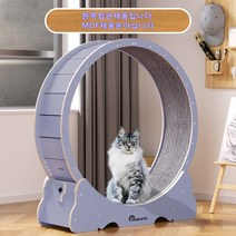 RUNCATS 무소음 간단 설치 캣휠 고양이캣휠, 자체 조립XL(113*36*120), 워싱블루