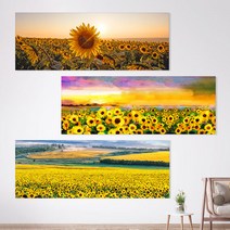 세잔느화실 특가할인 풍수액자 돈들어오는 그림 풍경이있는 해바라기액자 16종, S12 한낮 황금해바라기들판