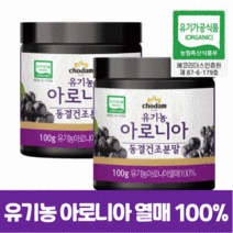 순수 100% 유기농 아로니아 열매 분말 파우더 가루 차 티 초크 베리 킹스 배리 효능 효과 추천 프리미엄 Aronia Powder 폴란드산 아루니아 아로니, 100 그램(g) x 2통