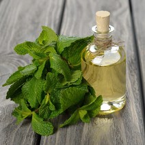 새로핸즈 천연 아로마 에센셜오일 콘민트 (박하) 100ml, 단품