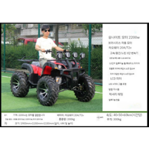 4륜 오토바이 바이크 산악용 농업용 오프로드바이크, 전기 큰 황소