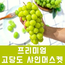국내산 고당도 프리미엄 샤인머스켓 김천 1.5kg 2-3수
