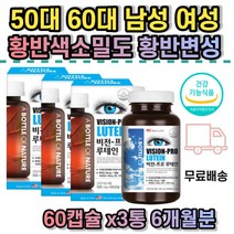 노안 루테인 안구 황반변성 눈이침침 눈의피로 30대 40대 50대 60대 70대 눈건강 마리골드꽃 추출물 중년 갱년기 눈이침침할때 눈이피곤할때 베타카로틴 식약처인증 눈노안 LUTEIN