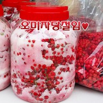 오미자5kg열매식품 추천 TOP 60