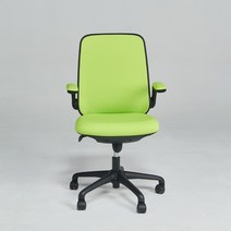 럭키 메쉬 사무용의자 오피스의자 성인의자 1인용의자 공부의자 메쉬 초등학생의자 중학생의자 학생의자, FNH03. 럭키 메쉬 의자(블랙+그린)