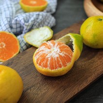 제주 서귀포 노지 감귤 밀감 박스포함 5kg 10kg, 4.5kg(로얄)