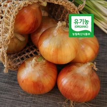 엔젤농장 유기농 양파 1.5kg