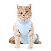 캣스튜디오 고양이 환자복, 블루
