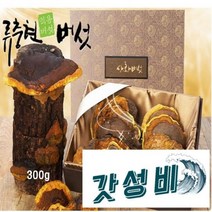 상황버섯 무농약 목질진흙버섯 린테우스 300g