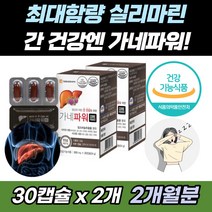 잦은회식 야근 지친 간 피로 건강한 영양제 밀크씨슬 비타민 B군 아연 셀렌 망간 엽산 비오틴 함유 면역력 피로회복제 피로한 피곤한 아침잠 불규칙한생활 간보호 건강대비 현대인