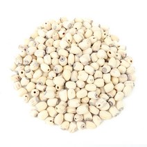 동의한재 베트남 연심과 껍질제거 햇 연자육 3kg 연자 연자육밥 연꽃씨 연밥, 1개