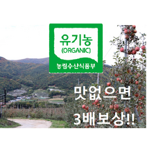 유기농사과 알뜰 흠과 기스과 5kg 10kg 장영인사과